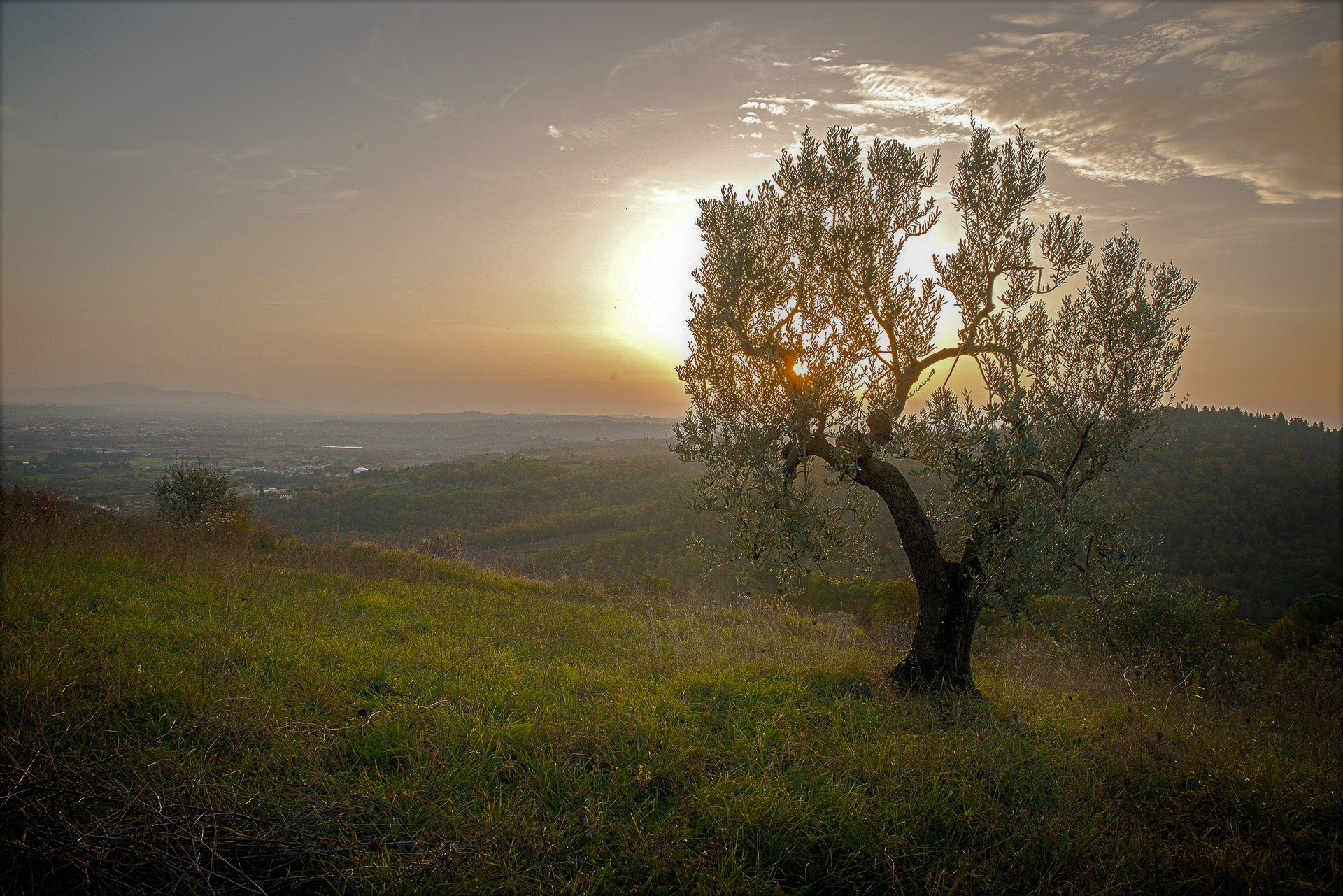 Apoios a projetos localizados em zonas de “baixa densidade”
